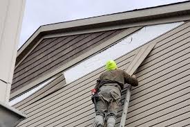 Best Custom Trim and Detailing for Siding  in Dudley, NC